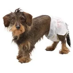 Simple Solution Einwegwindel (Hund), Tierhygiene