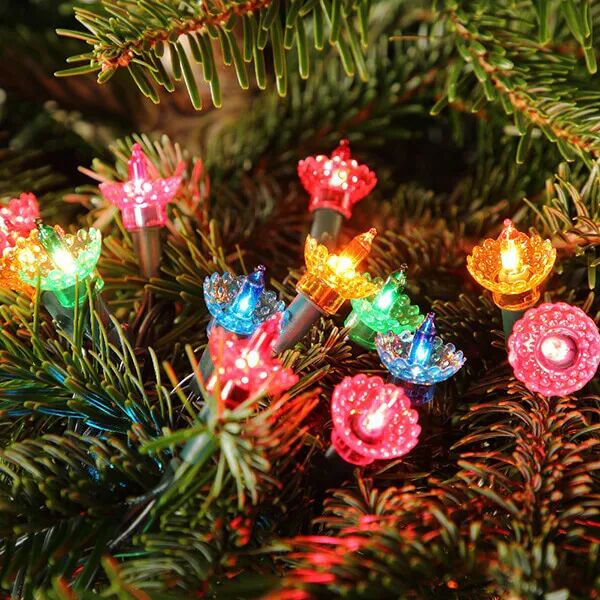 Noma 40 LED Multicolour Pickwick String Lights
