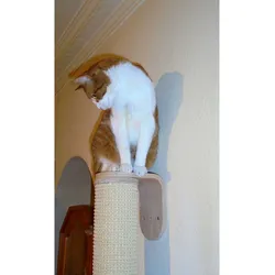 Aktiv Kat - Wand-Kratzsäule Ø 13 cm Schwarz - 160 cm