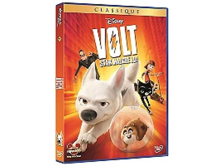 Volt, star malgré lui