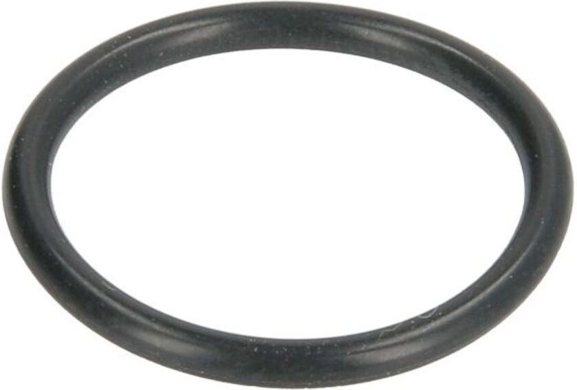 Zf O-ring, cambio 0634304287