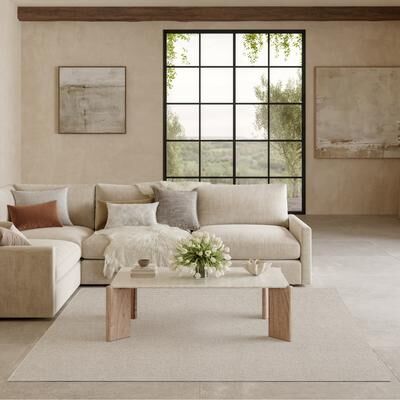 Nourison Textured Home Indoor Abstract Area Rug
