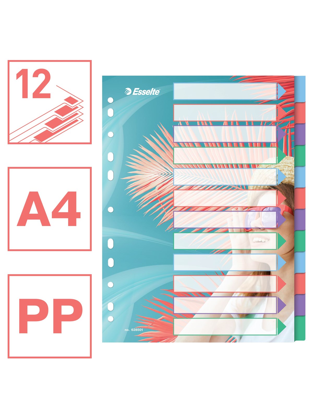 Esselte Colour'Breeze A4 Register 12 Taben, PP