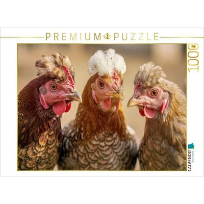 CALVENDO Puzzle Robuste Rasse, natürliche Haltung, echte Qualität. | 1000 Teile Lege-Größe 64x48cm Foto-Puzzle für glückliche Stunden, von , Calvendo