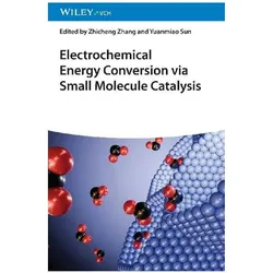 Electrochemical Energy Conversion via Small Molecule Catalysis, Fachbücher von Zhicheng Zhang, Yuanmiao Sun