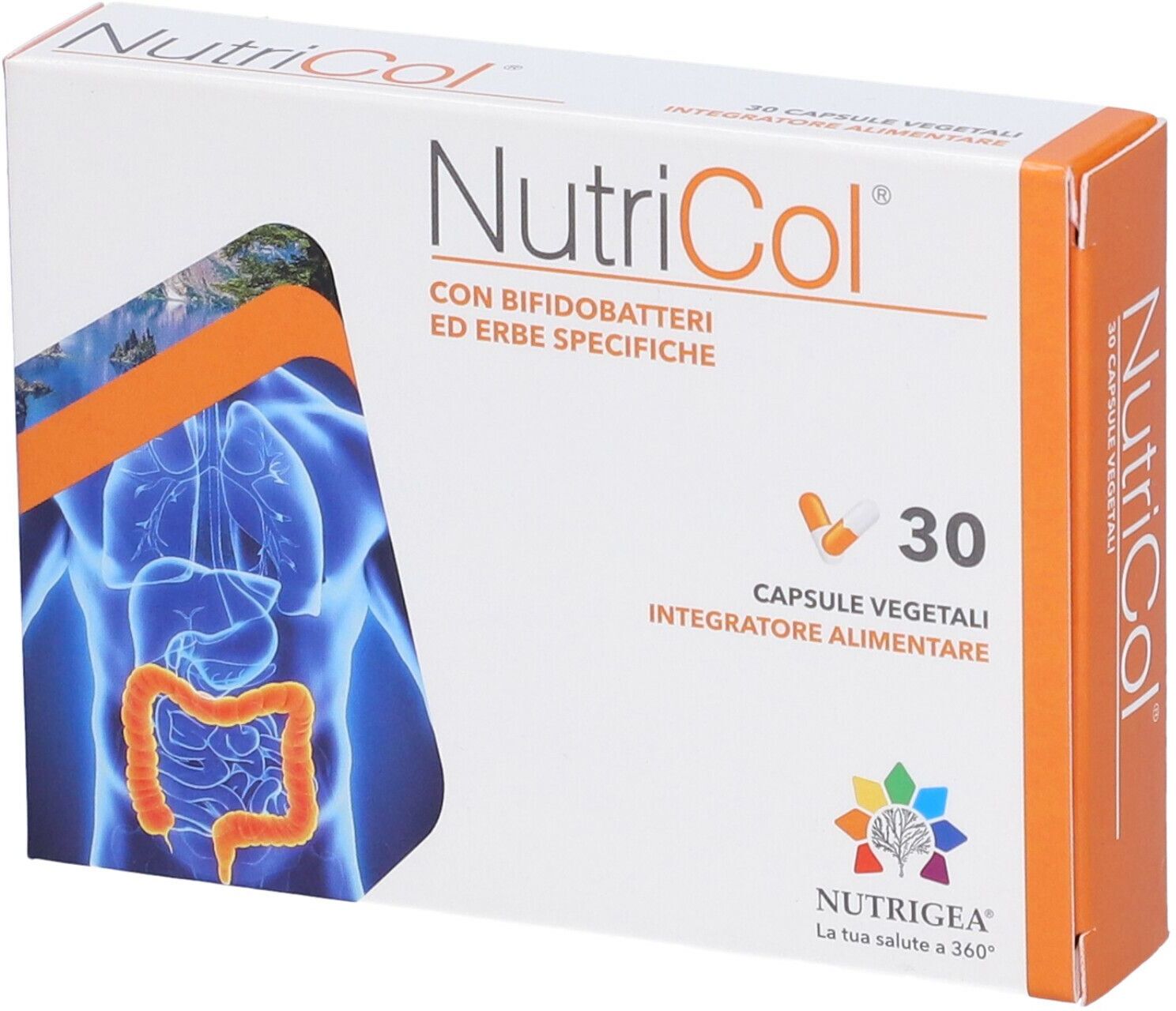 NUTRIGEA Srl Nutrigea Nutricol 30 Capsule Vegetali – Integratore per la Funzione Intestinale e il Benessere del Colon
