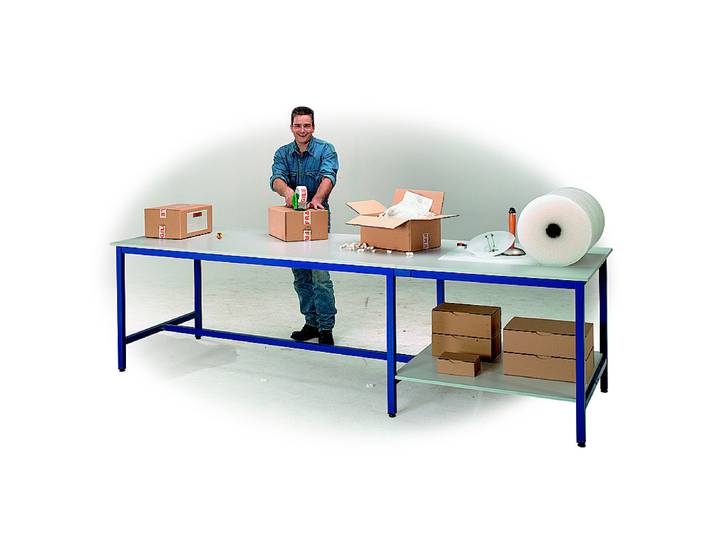 Table de travail multiservices - 300 x 100 cm - 6 pieds
