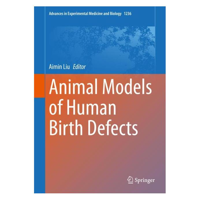 Springer Animal Models of Human Birth Defects (Englisch, Hardcover, Aimin Liu) (71875084)