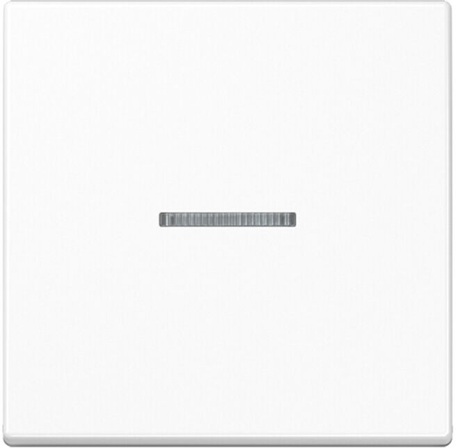 Jung Wippe aws pour interrupteur de contrôle A 590 KO5 WW (A590KO5WW)