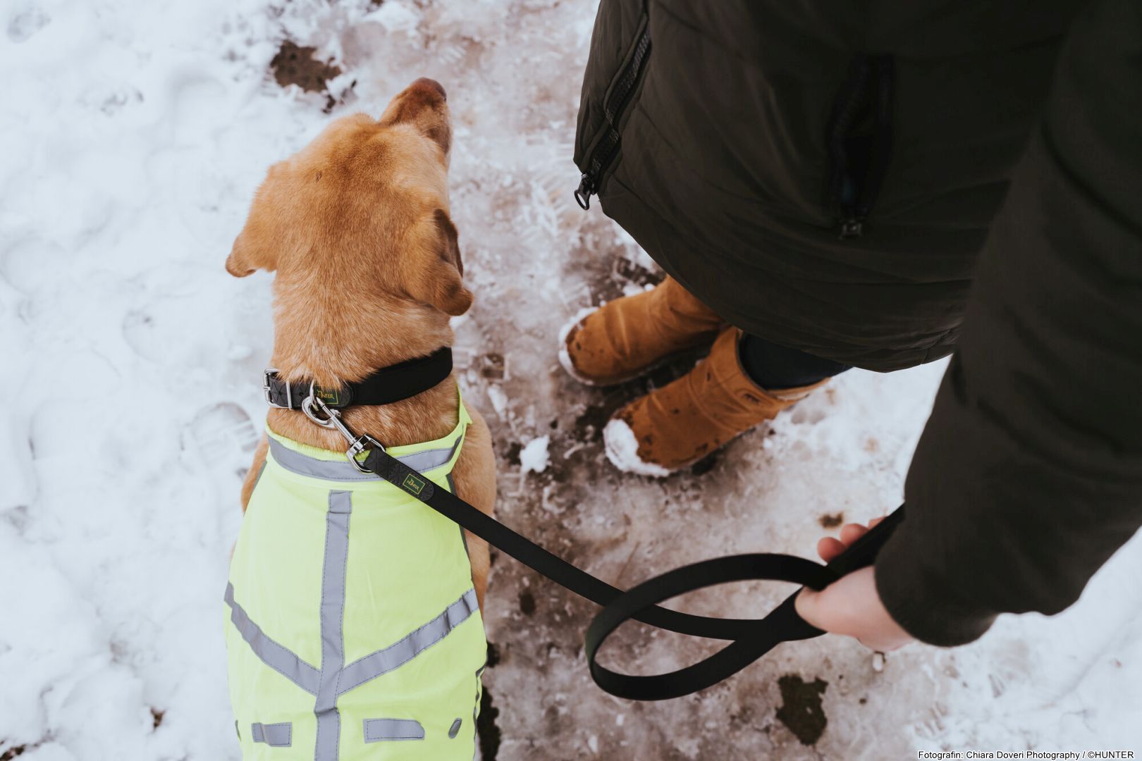 DOG SPORT HUNTER Warnweste S, gelb