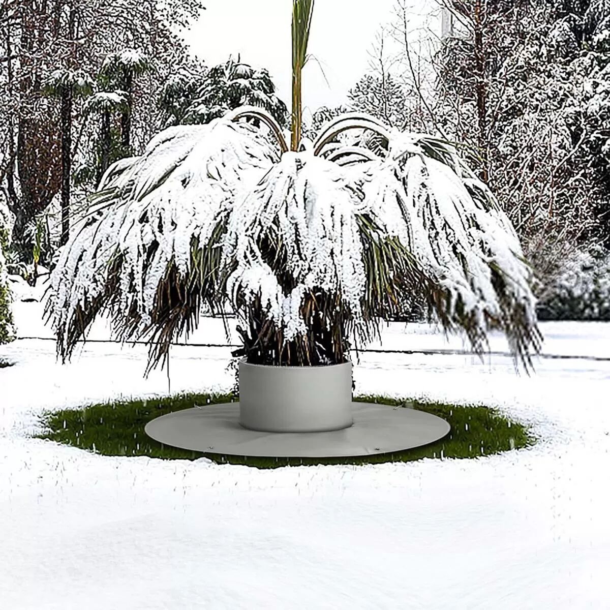 INF Baum-Frostschutzmatte - Winter Pflanzenschutz vor Frost für die Wurzelisolierung