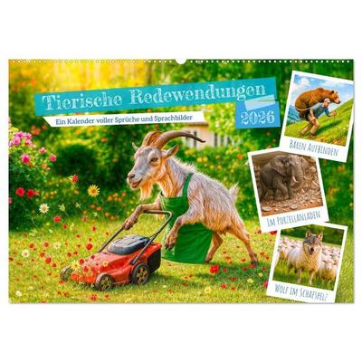 Tierische Redewendungen - Ein Kalender voller Sprüche und Sprachbilder (Wandkalender 2026 DIN A2 quer), CALVENDO Monatskalender