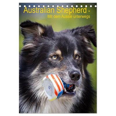 Australian Shepherd – Mit dem Aussie unterwegs (Tischkalender 2027 DIN A5 hoch), CALVENDO Monatskalender