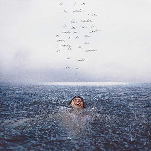 Shawn Mendes - Wonder - Preis vom 09.10.2026 07:28:09 h