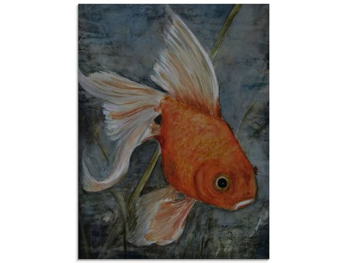 Glasbild ARTLAND Feng Shui - Goldfisch , orange (farbe bild(er): orange), B:45cm H:60cm, Bilder, Glasbild, in verschiedenen Grössen