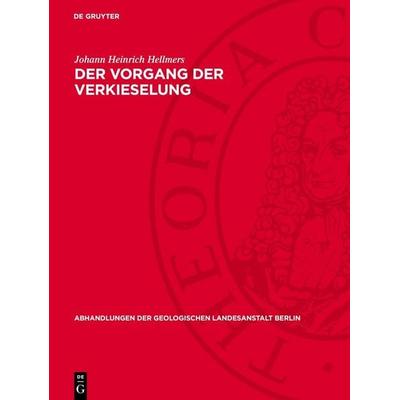 Der Vorgang der Verkieselung, Gebundene Ausgabe von Johann Heinrich Hellmers, De Gruyter, 978-3-11-276490-9