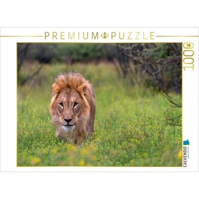 CALVENDO Puzzle Löwenmann während der Regenzeit | 1000 Teile Lege-Größe 64x48cm Foto-Puzzle für glückliche Stunden