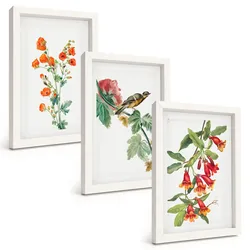 BILDER SET 3er Set - 20x30 cm Weißer Rahmen - Gemalte Blumen und ein Vogel