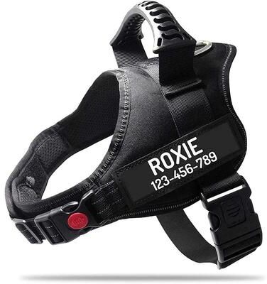 Uplift Picks ComfortFit Adjustable Nylon Dog Harness With Custom Name ID 19 xxl