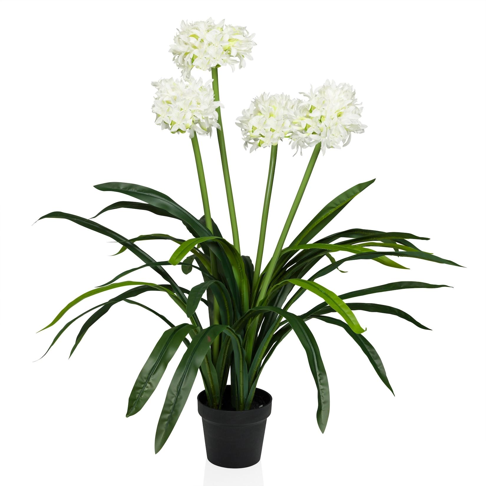 hjh OFFICE Kunstpflanze AGAPANTHUS Kunststoff