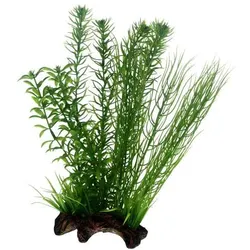 HOBBY Plant Flora Root 2 Aquarieneinrichtung