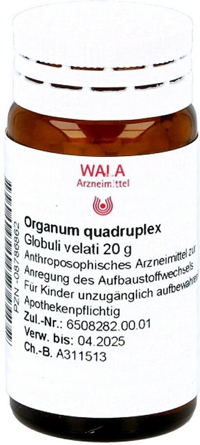 Wala Organum Quadruplex Globuli