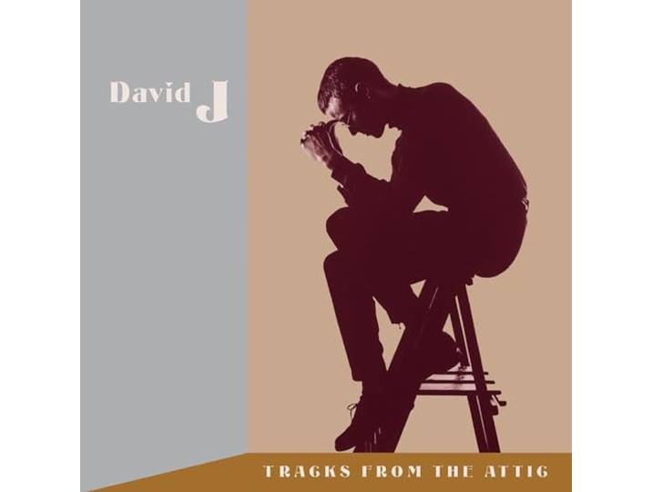 Tracks From The Attic