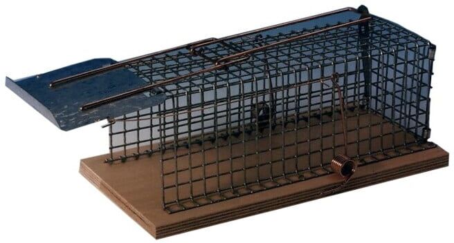 Deu Fa Piège à rats en cage métallique Luna 014003 ; DeuFa (014003)