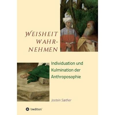 Weisheit wahrnehmen, Taschenbuch von Jostein Sæther, Tredition, 978-3-7323-0164-5