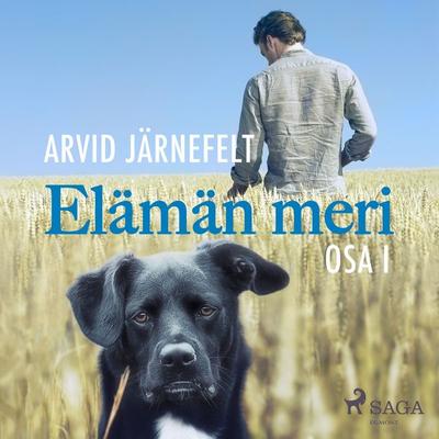 Elämän meri, osa 1 - Arvid Järnefelt, Audio, 9788726256840
