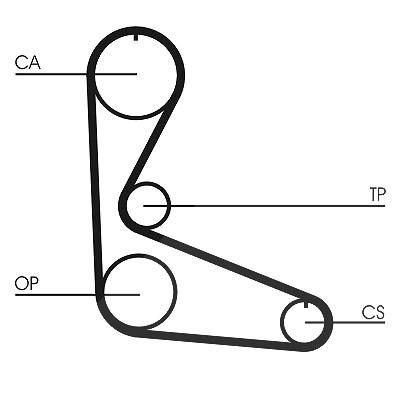 Continental Ctam Zahnriemen [Hersteller-Nr. CT702] für Lancia, Autobianchi, Fiat