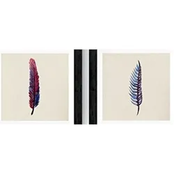 POSTER Set Mit 2 Federn Tiere 20X20cm Rahmenlos