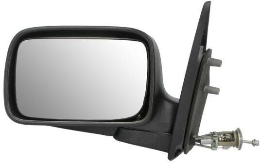 BLIC 5402-04-1112529P Wing mirror