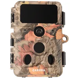CARUBA Moose 4K Wildcamera