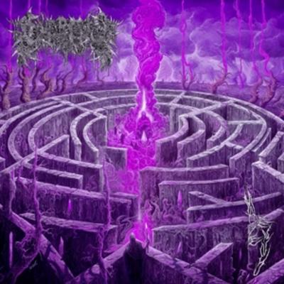 Maze Envy - Civerous, CD