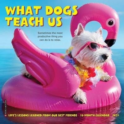 What Dogs Teach Us 2027 7 X 7 Mini Wall Calendar