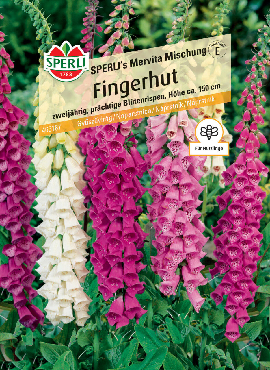 Sperli Fingerhut SPERLI's Mervita Mischung
