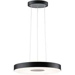 Paulmann, Pendelleuchte, Puric Pane (2600 lm)