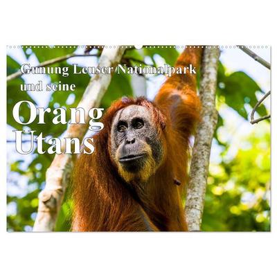 Gunung Leuser Nationalpark und seine Orang Utans (Wandkalender 2026 DIN A2 quer), CALVENDO Monatskalender