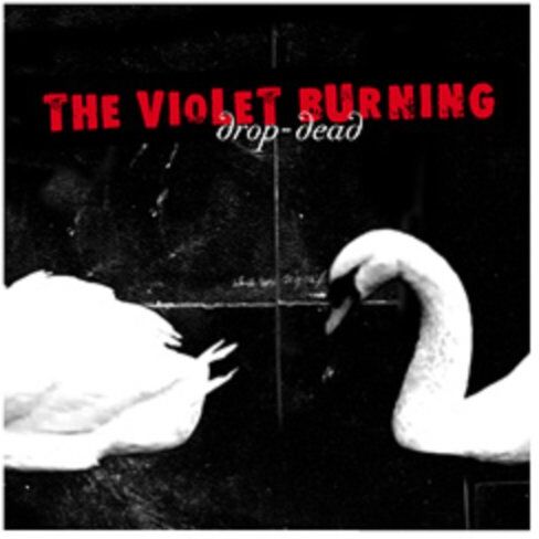 Drop dead - Violet Burning - Preis vom 30.09.2026 03:33:06 h