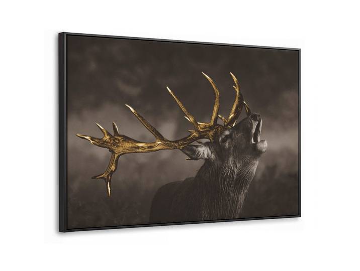 LEINWAND Bilder mit Rahmen - Rotwild - Schwarz - Gold - 90x60