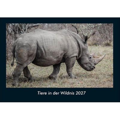 Tiere in der Wildnis 2027 Fotokalender DIN A4