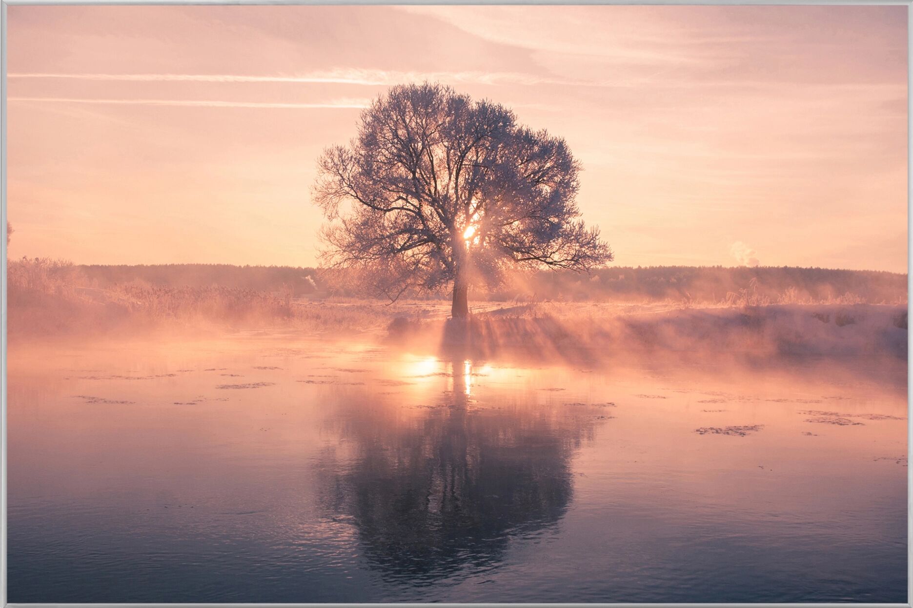 image LAND Baum mit Spiegelung