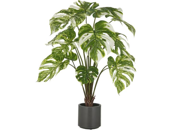 Kunstpflanze CREATIV GREEN Splitphilodendron , grün (grün, weiß), H:100cm, Kunststoff, Kunstpflanzen, Kunstpflanze, mit naturgetreuem Blattwerk
