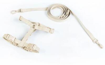 Uplifted Finds Macaron Series Dual Head Designer Harness & Leash Set natural Beige l