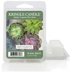 Succulents Wax Melts 64g