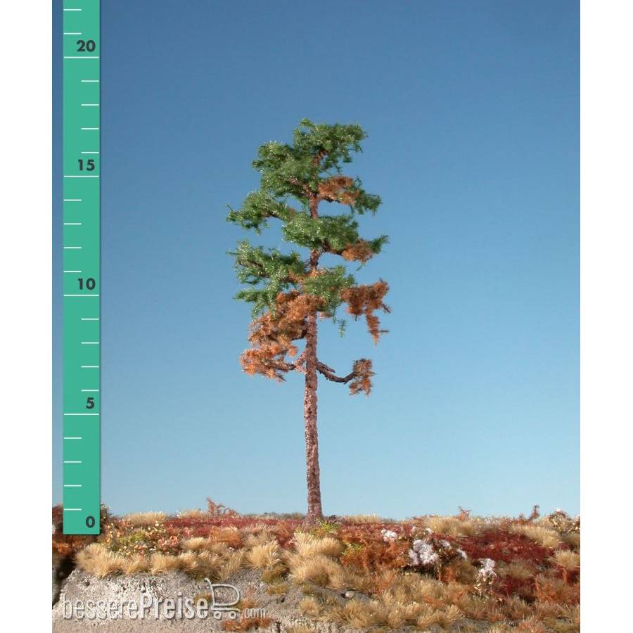 Silhouette 270-16