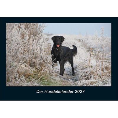Der Hundekalender 2027 Fotokalender DIN A4