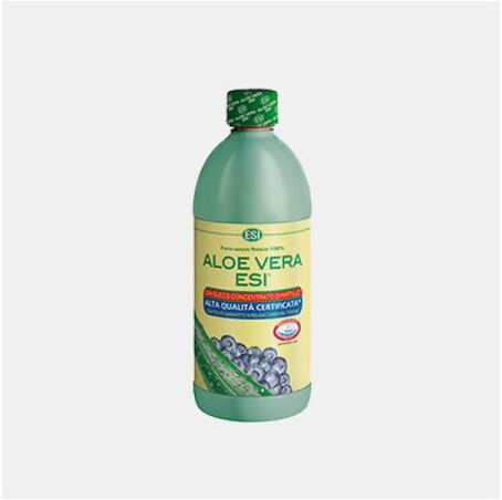 ALOE VERA COM MIRTILO ESI 1000ml