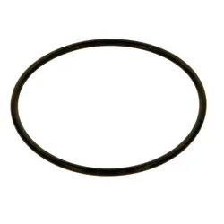 O-RING 123,19x5,33 EPDM (2x) - 87185742440